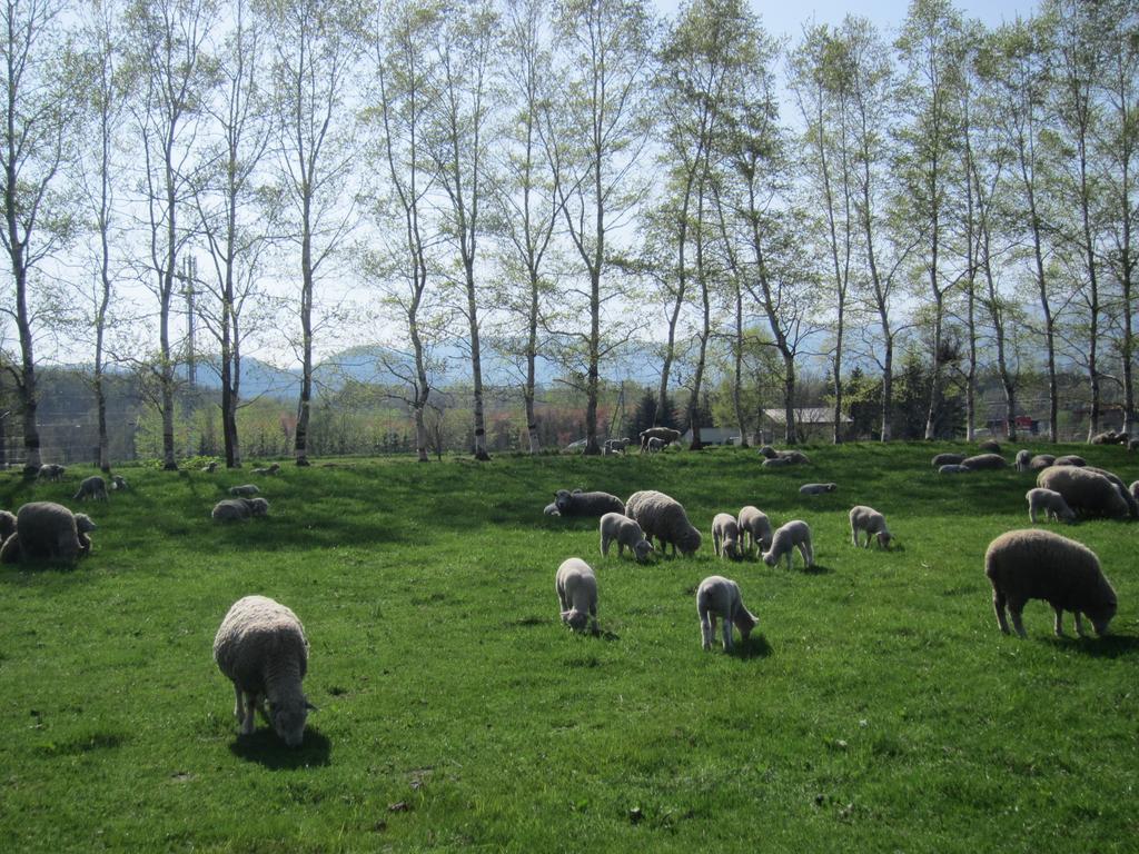 Yorkshire Farm Vila Shintoku Exterior foto