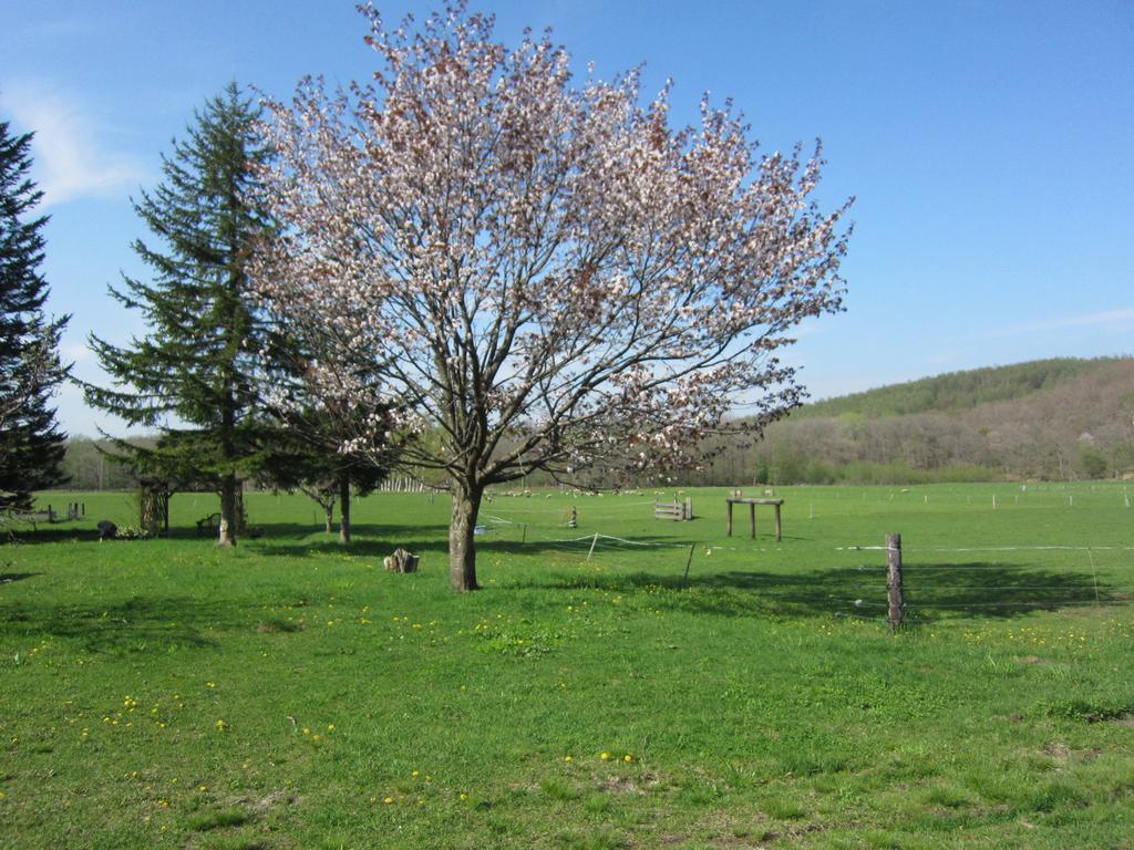 Yorkshire Farm Vila Shintoku Exterior foto