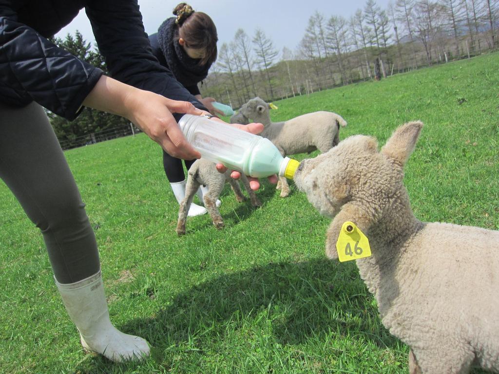 Yorkshire Farm Vila Shintoku Exterior foto