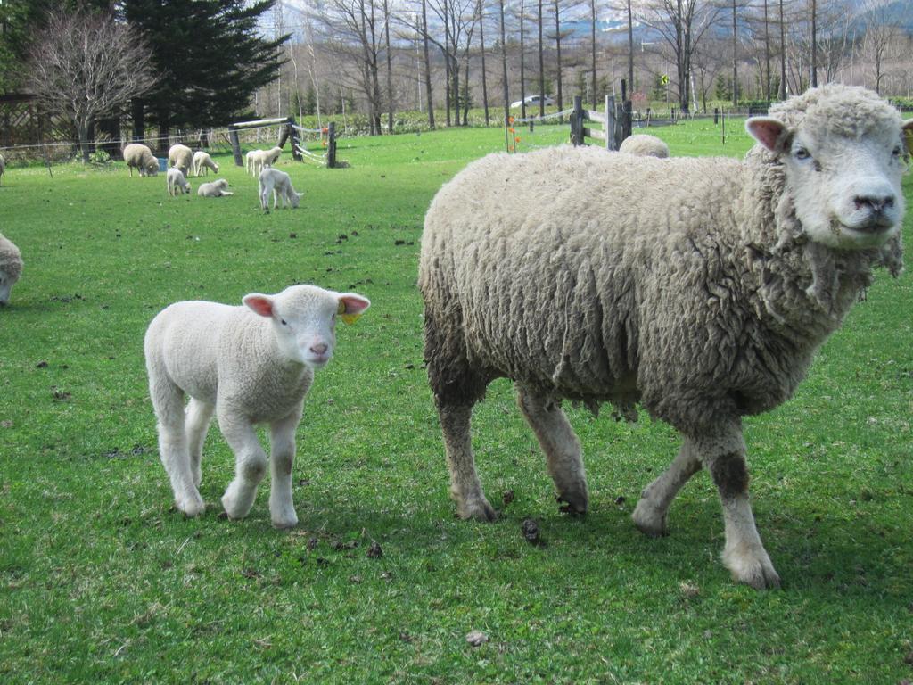 Yorkshire Farm Vila Shintoku Exterior foto