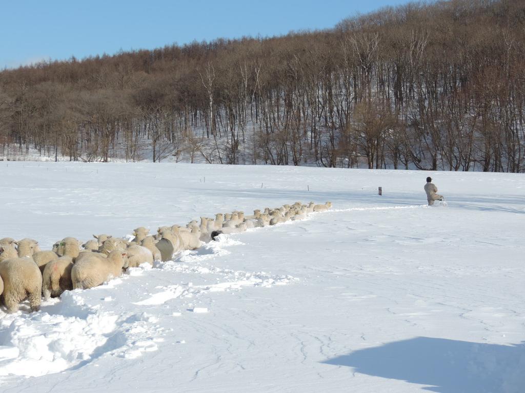 Yorkshire Farm Vila Shintoku Exterior foto