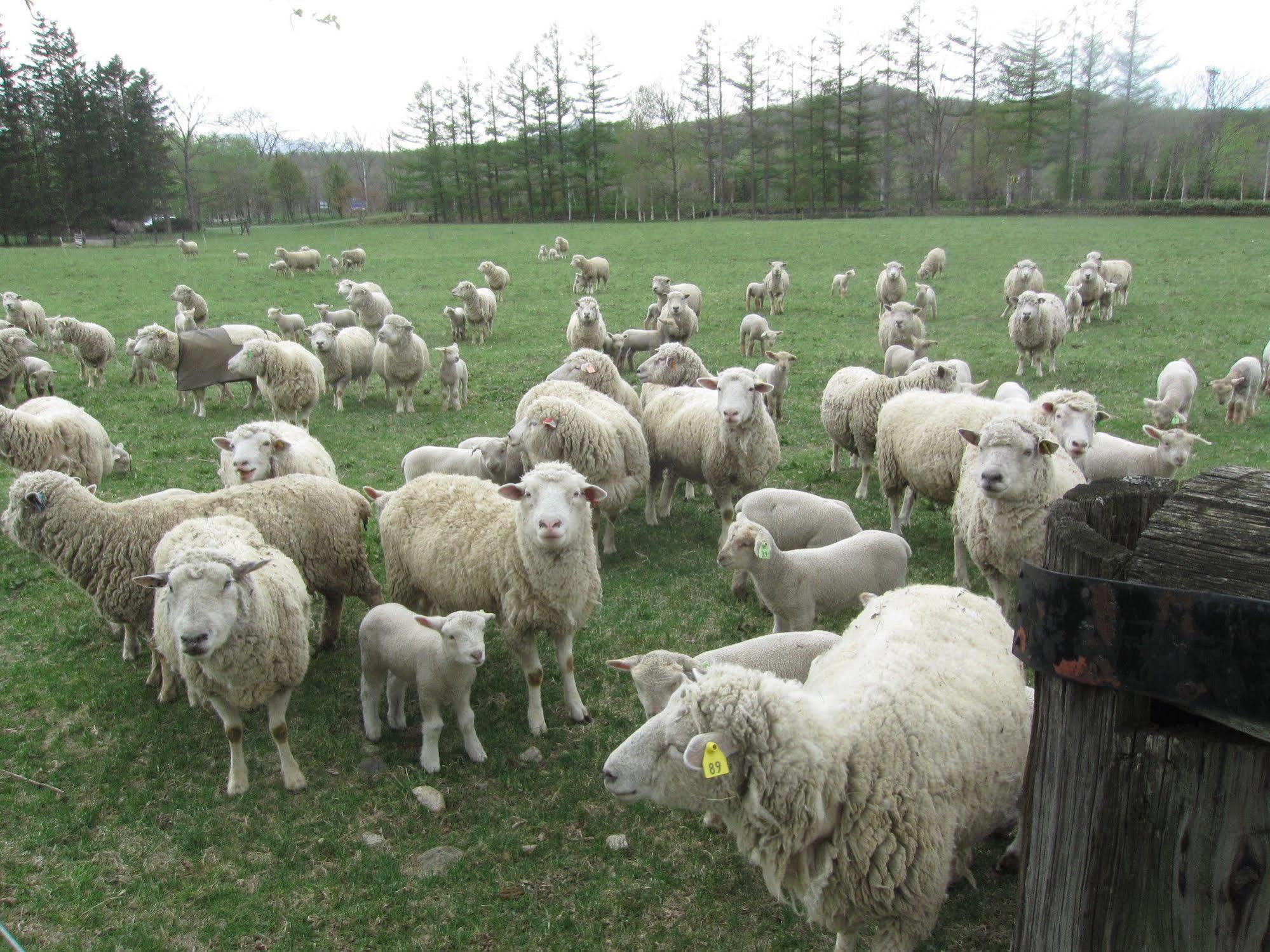 Yorkshire Farm Vila Shintoku Exterior foto